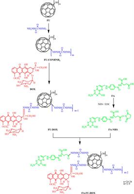 Synthesis, Characterization, Cellular Uptake, and In Vitro Anticancer Activity of Fullerenol-Doxorubicin Conjugates